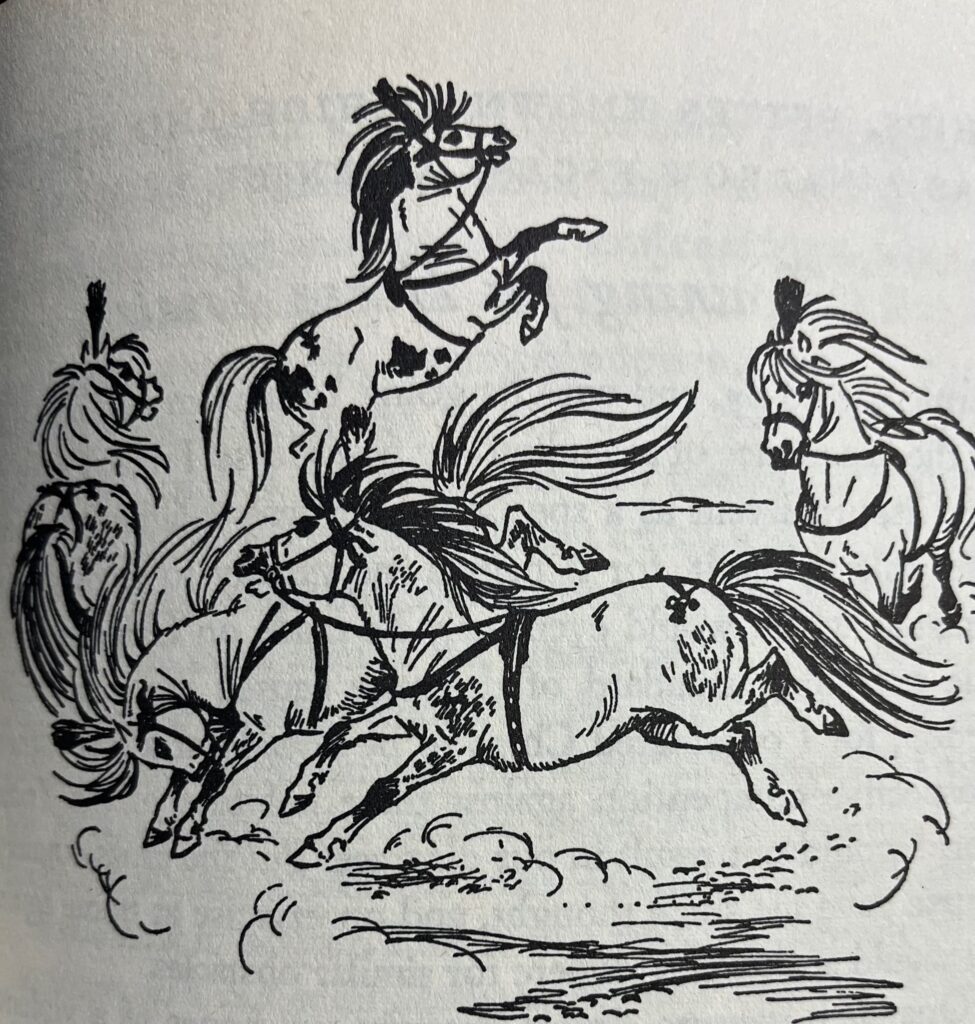 馬愛好家の宝庫 | Something