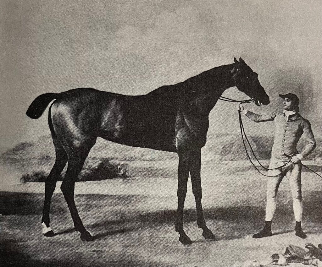 馬愛好家の宝庫 | Something