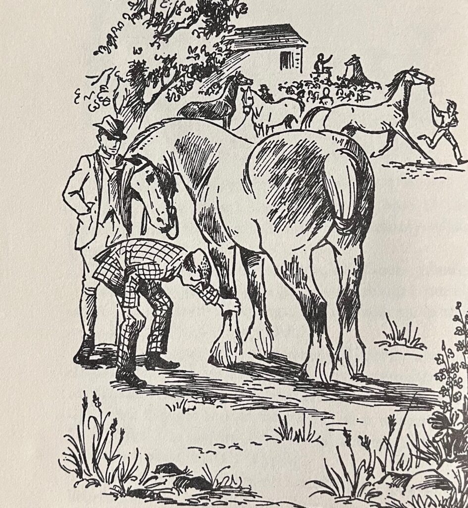 馬愛好家の宝庫 | Something