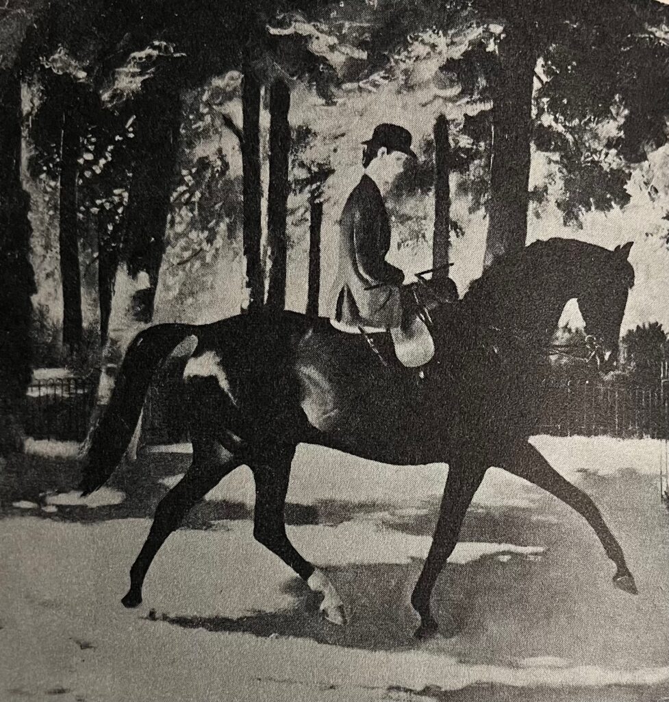 馬愛好家の宝庫 | Something