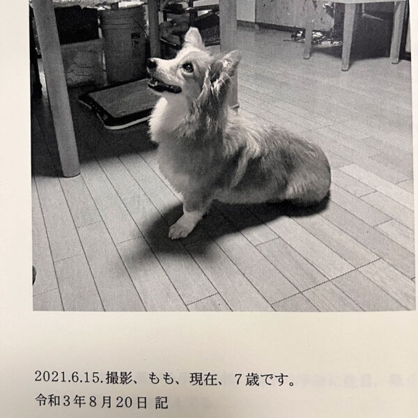 もも日記📓後篇