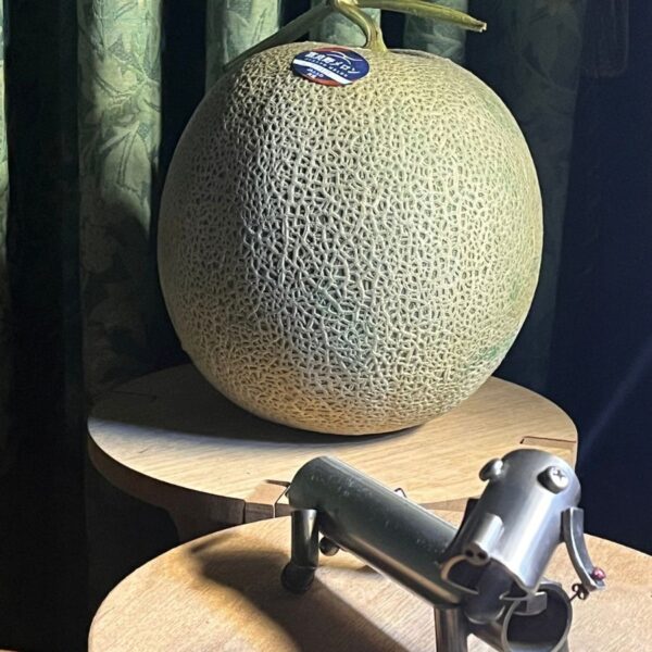 melon