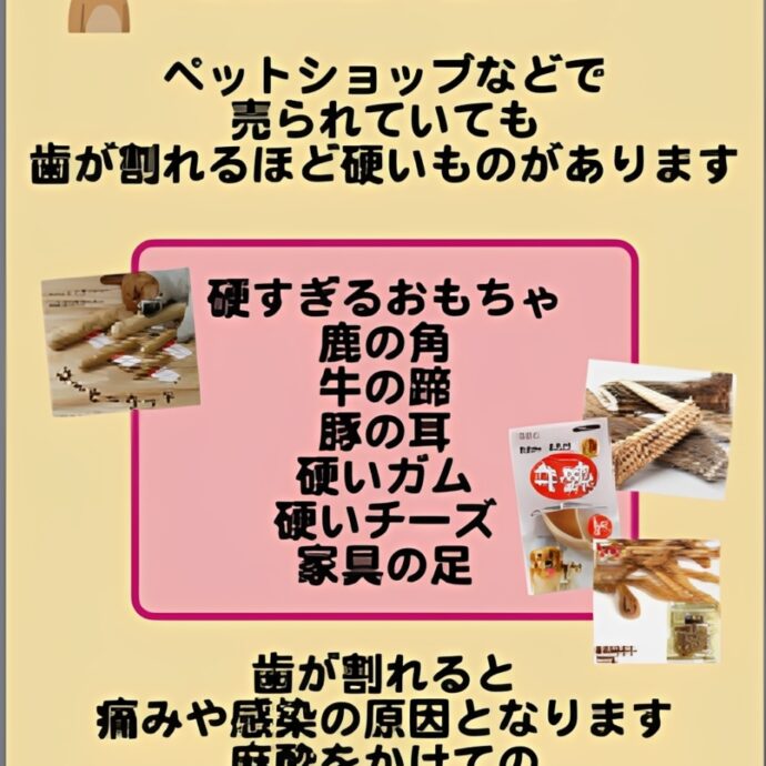 危険！歯が割れる